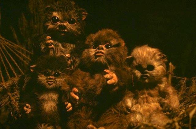 What Is Also Known As Ewok Syndrome